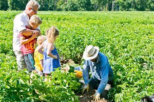 Feldarbeit | Biohöfe Oldendorf © Jochen Quast