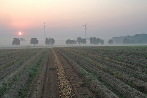 Biohöfe Oldendorf © Reiner Bohnhorst