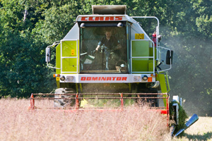 Mähdrescher | Biohöfe Oldendorf © Jochen Quast